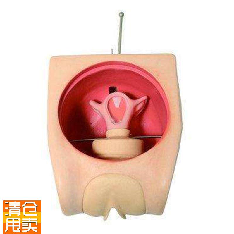 妇科技能训练检查计划生育教学育练习模型宫内避孕器X上环取环模