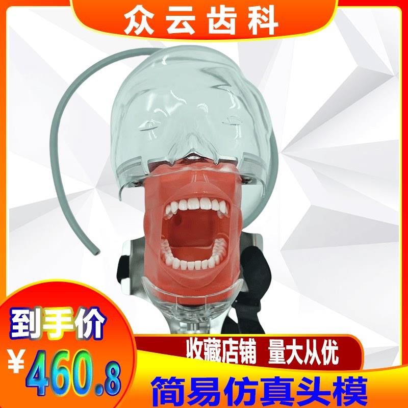 牙科口腔教学仿真模型简易头模树脂根管牙N粒备牙标准头模三合一