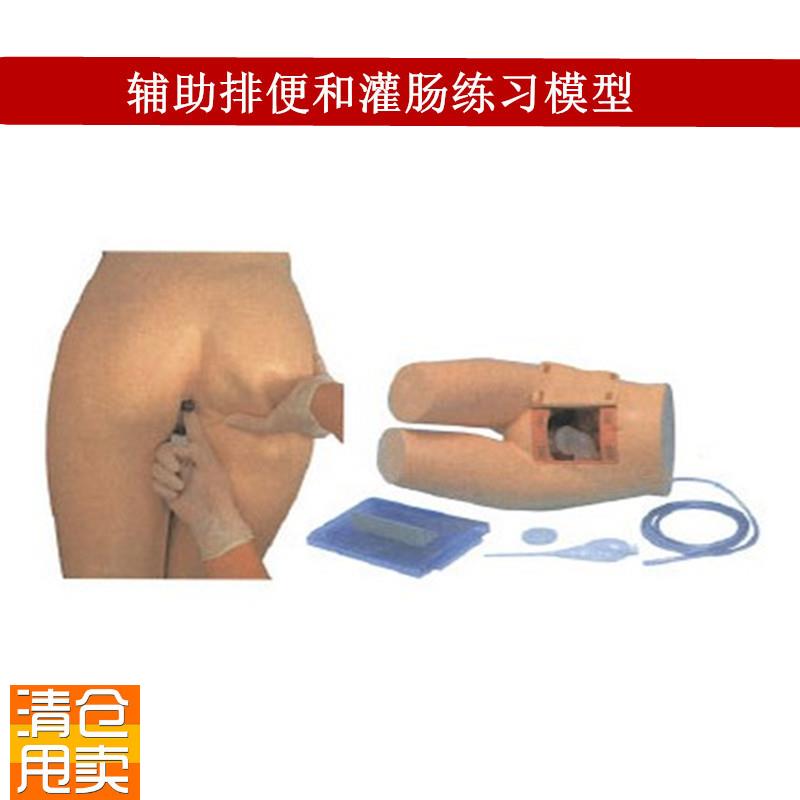 辅助排便和灌肠练习模型医院培训护士训练模型Y肛门检查模型