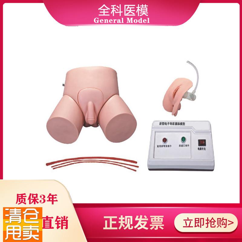 电子导尿灌肠教学实习模型男女护理导J尿训练操作模具教学仪器