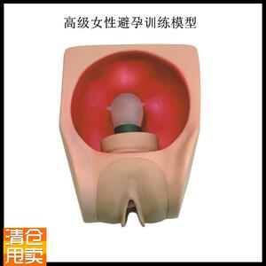 高级女性避孕练习模型r妇科宫内训练模具子宫阴道上环教学阴唇