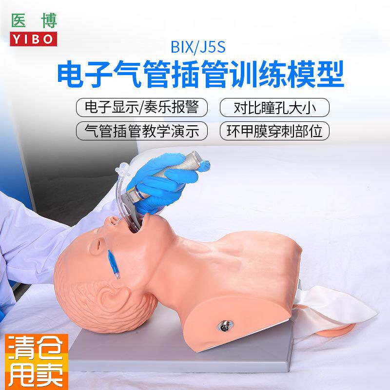 医博成人电子气管插管模型J5s高级人v体气管插管训练模型带牙齿受