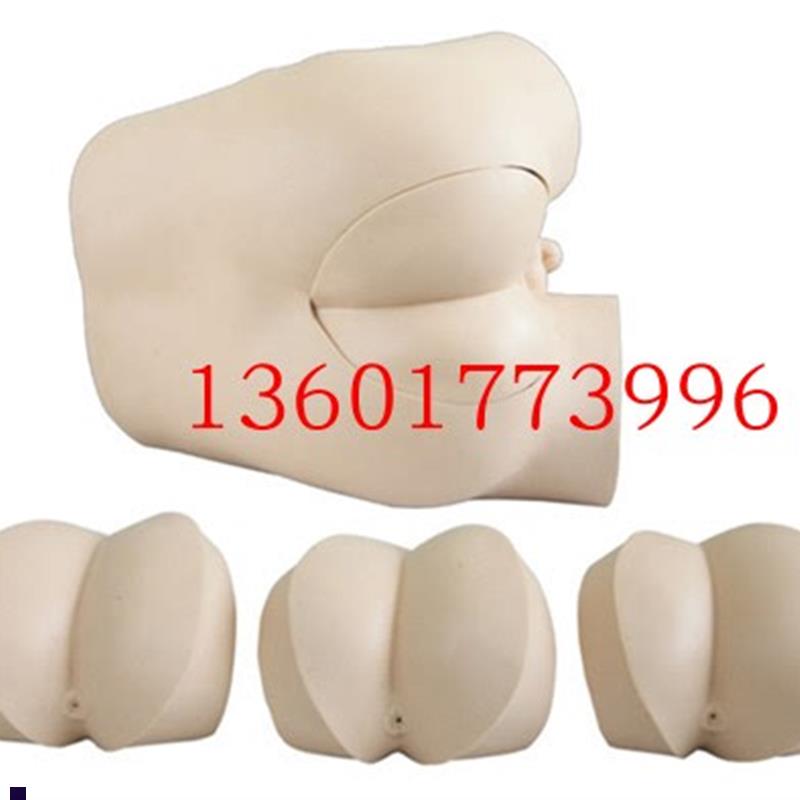 直肠指诊a检查模型前列腺触诊检查模型