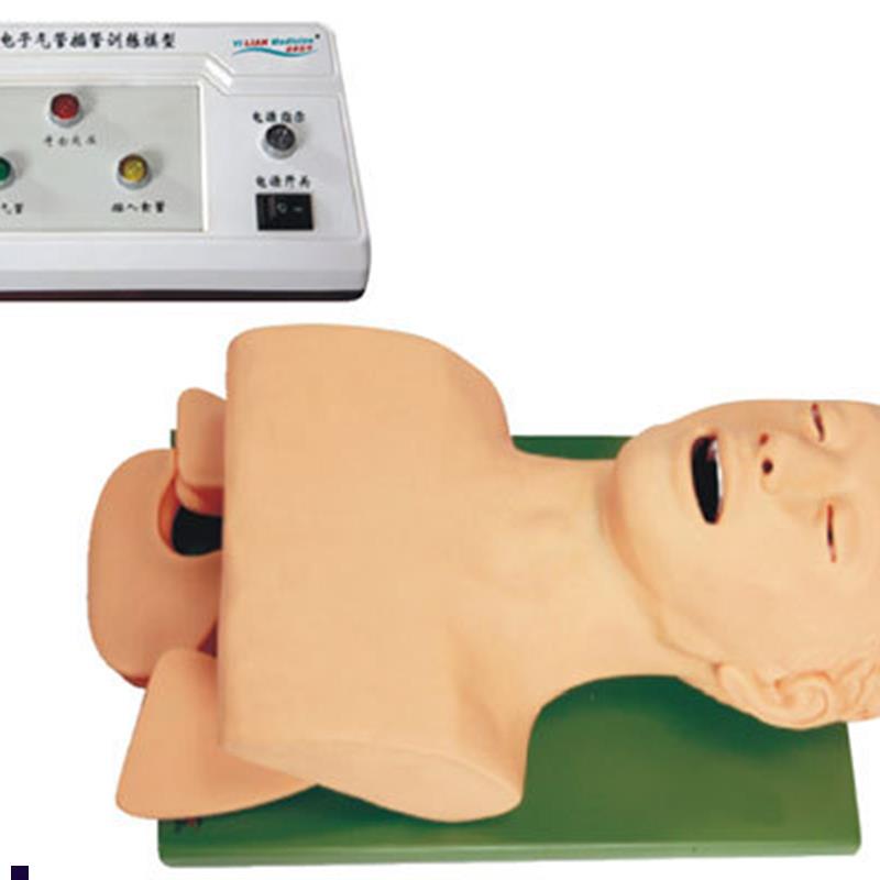 成人电子气管插管教学模型电子z人体气管插管模型(牙齿受压报警)
