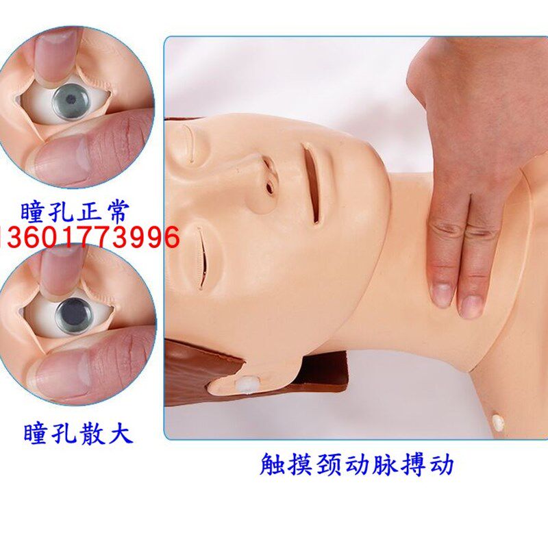高级心肺复苏训练模型人 弱水急N救心肺复苏模拟人