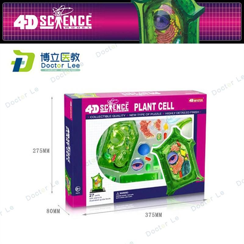 正品4Dmaster动物植物细胞模型儿H童益智玩具幼儿园科学实验教学