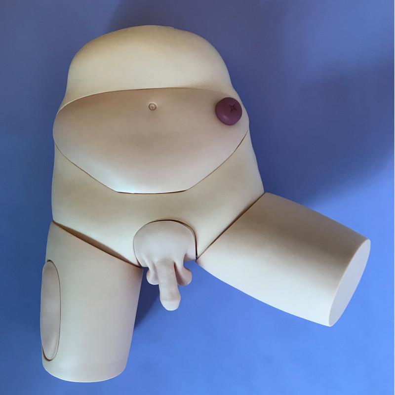 厂家直销 男g性女性护理导尿示教模型 尿道排液教学练习模具