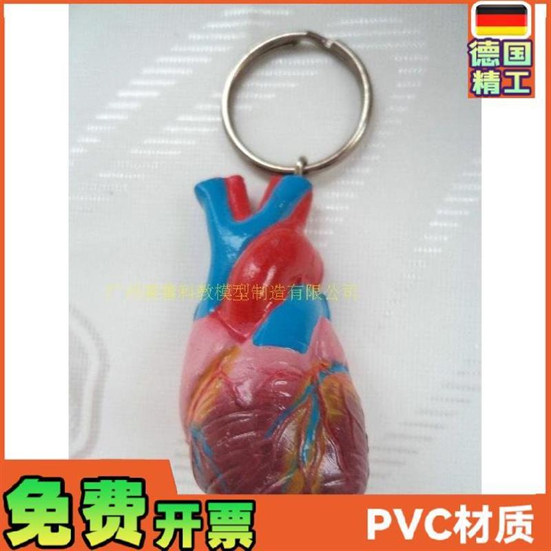 心脏钥匙扣 仿真心脏 小型人体z心脏钥匙扣 模型 人体内脏钥匙扣