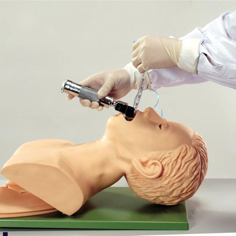 ENOVO颐诺电子气管插管训练模型(F带报警)急救气管插管训练模型I