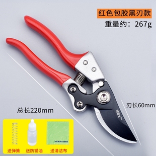 进口艺园剪刀剪枝剪树粗枝花草修枝剪家用园艺专用省力德国进口