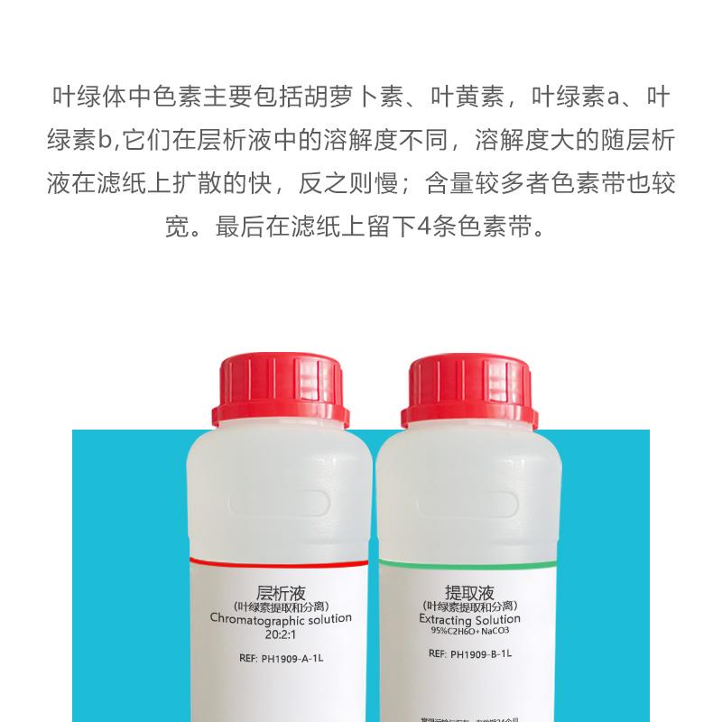 层析液提取叶绿素的分离