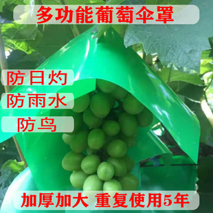 葡萄防日灼伞罩葡萄防水伞葡萄防晒伞葡萄防鸟伞葡萄遮阳伞套袋-
