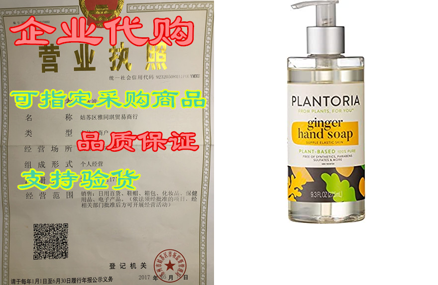 Plantoria Ginger Plant Based Hand Soap| Natural Organic