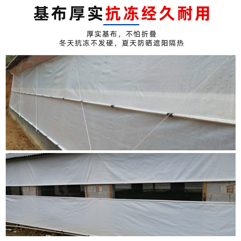 劲风来袭蔬菜办理做好这几条最要害