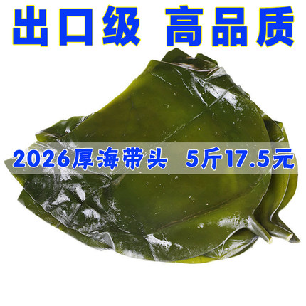 荣成海带头新鲜5斤出口级海带中短头炖排骨饭店火锅串串厚海带根