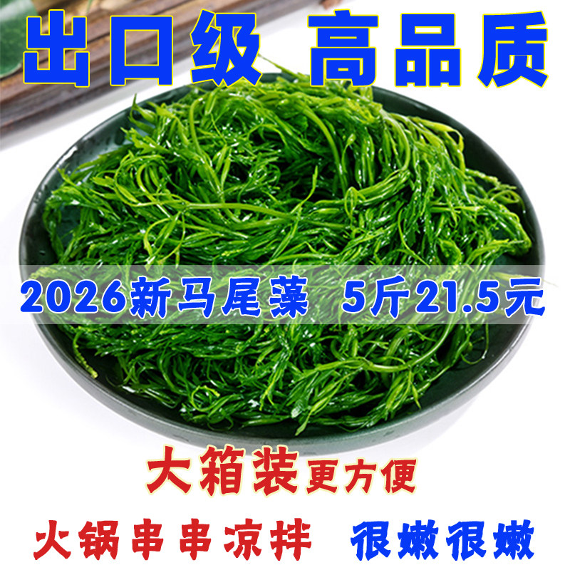 马尾藻新鲜盐渍商用野生海藻菜羊栖菜长寿菜海草商用凤尾菜鞭炮笋