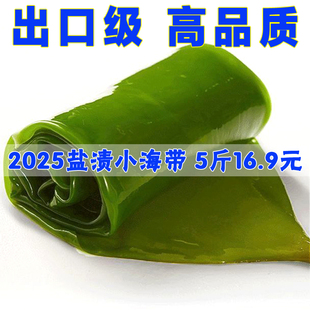 深海大海带新鲜盐渍凉拌火锅食材日料包饭海带嫩薄包饭5斤整片