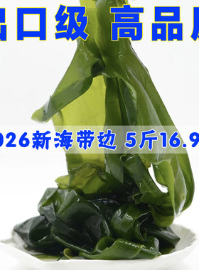 海带盐渍新鲜绿色凉拌薄嫩
