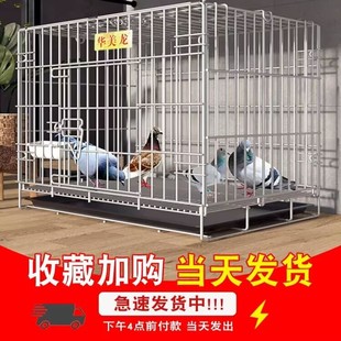 鸽子笼家用室内养殖笼户外养鸽子专用大号带隔断繁殖配对笼鸽用品
