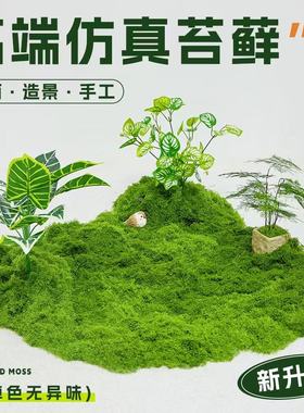 微景观装饰块状线状草皮软装搭配绿植造景室内植被假青苔丝状铺面