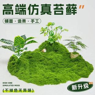 微景观装饰块状线状草皮软装搭配绿植造景室内植被假青苔丝状铺面