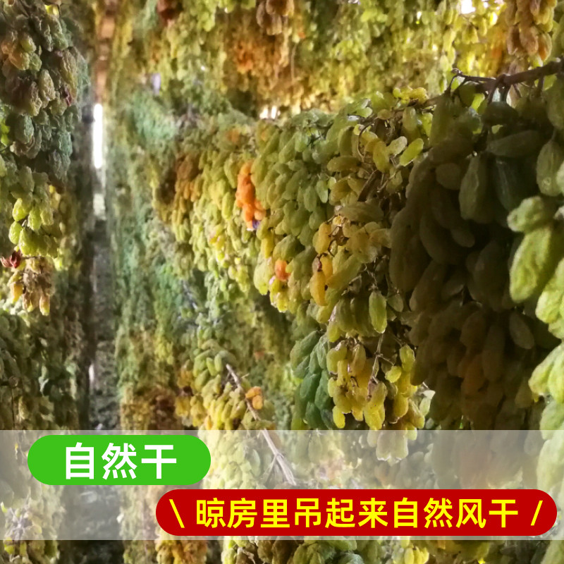 新疆树上黄葡萄干吐鲁番特产无核白直销无籽儿童提子干萄葡干