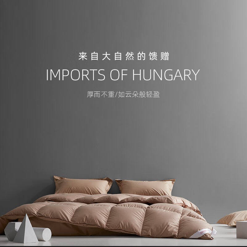 斯诺曼（夏季薄被）无异味家庭型羽绒被90%鸭绒冬被春秋暖气空调