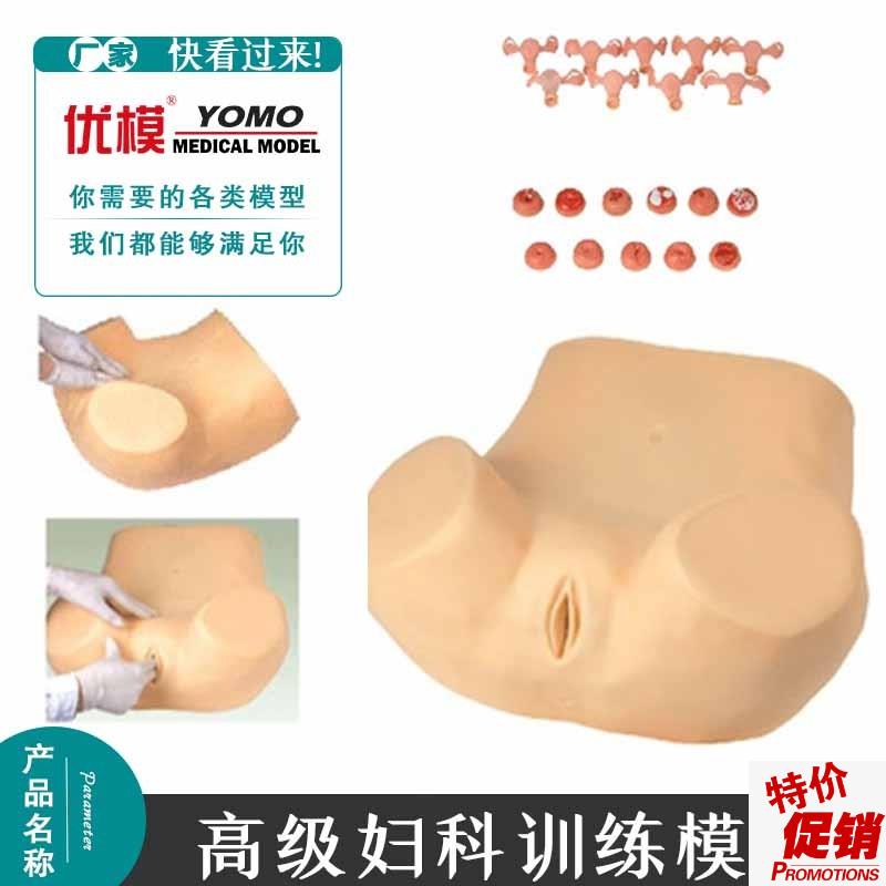 妇科检查训练模型示教异常子宫触诊附K件模型腹腔盆腔教学模具