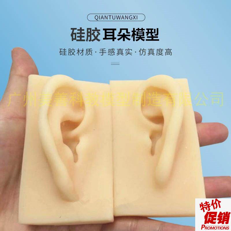 真人大小仿真耳朵模型耳模型硅胶F耳朵模型针灸耳朵模型硅胶耳
