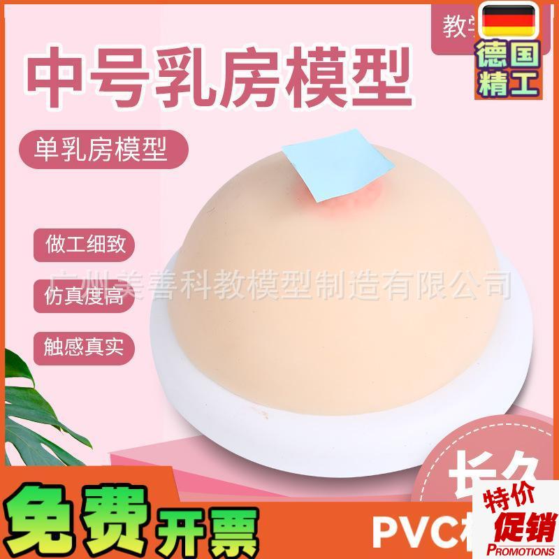 女性乳房模型培训假乳催乳师家政培训教具母乳R喂养哺乳教学模型