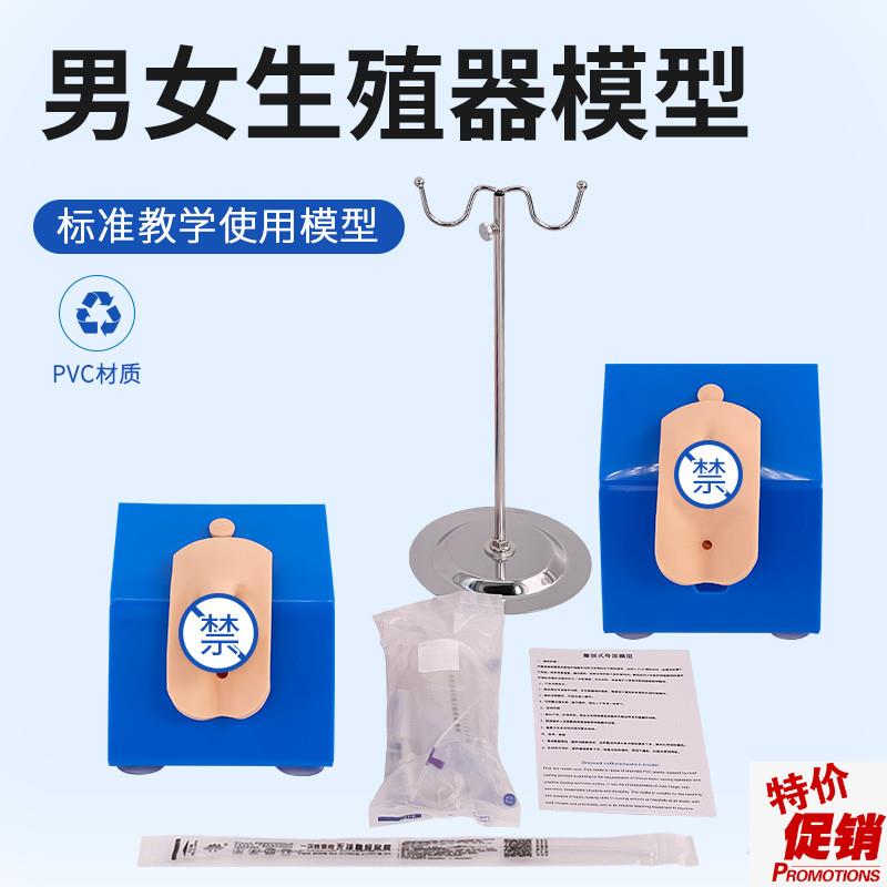 高级着装式女g性导尿模型外阴护理操作模块真实导尿操作训练模型