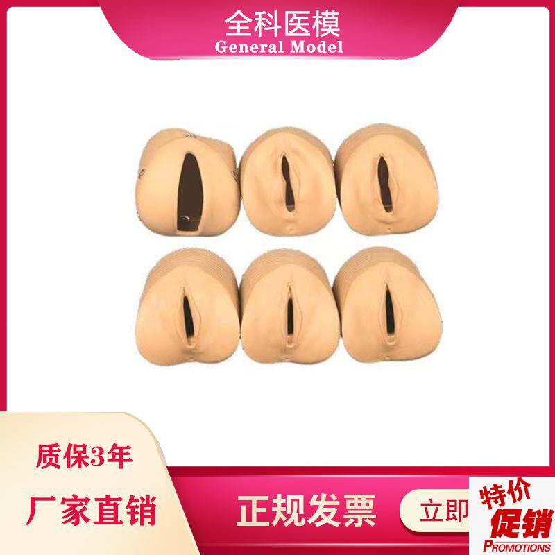 女性分娩生产宫口模型产前宫颈变化与U产道关系模型