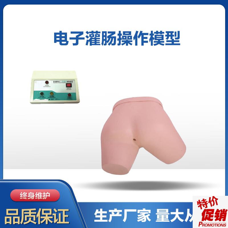 电子灌肠操作模型灌肠术练习模型护理教学O模型护士护理员培养