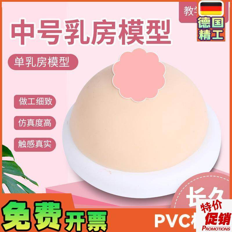 家政月嫂人体仿真女性乳房催乳师培训道具哺乳硅胶W乳房教具模型