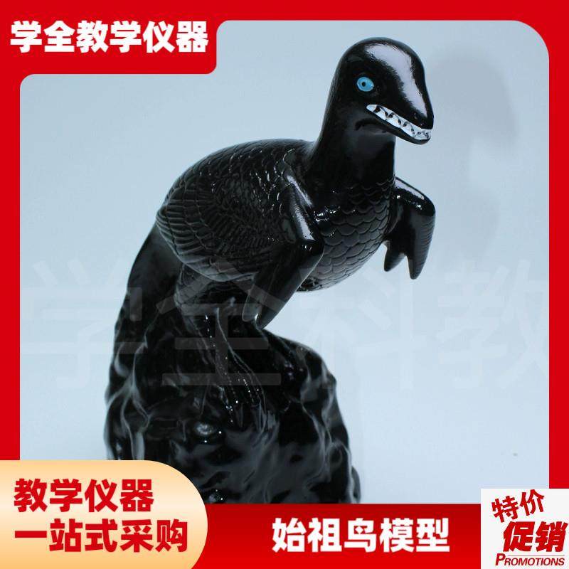 始祖鸟化石及复原模型生物科教仪C器小学初高中生物科学教学模型