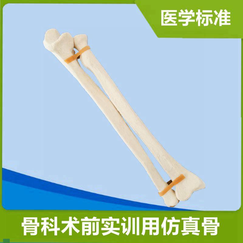 仿真上肢骨骼模型尺桡骨关节手腕肩胛骨手臂N医器械练习操作用假