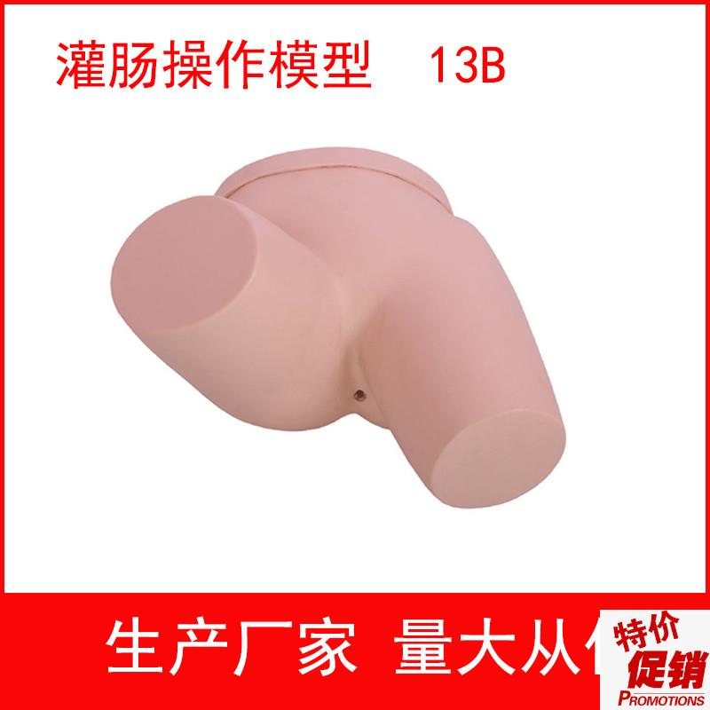 厂家直销灌肠操k作模型灌肠练习模型护士灌肠实习模型
