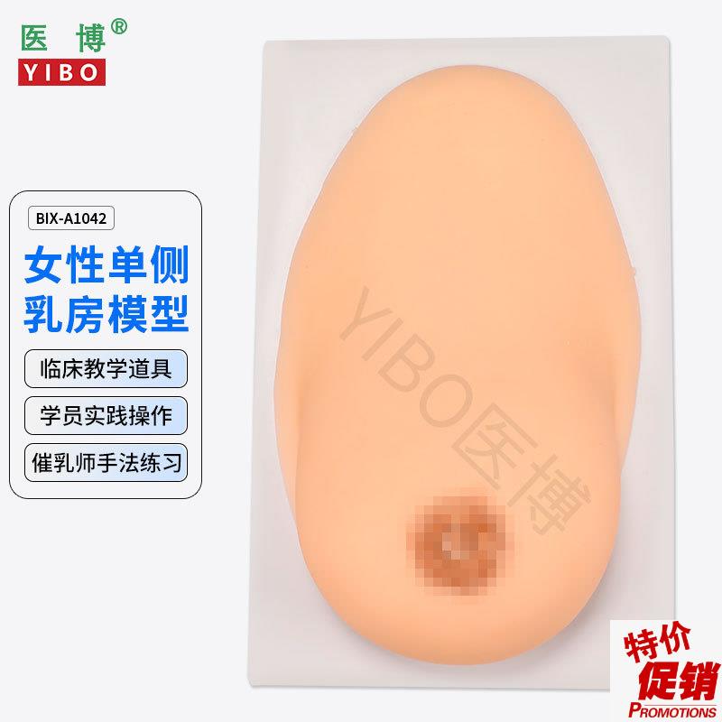 医博BIX-1042成人女性单侧硅胶乳D房模型仿真触感催乳手法训练教
