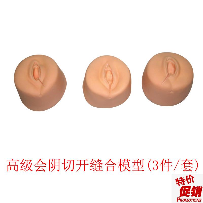 会阴切开缝合训练模型会阴正中偏左偏右缝合技能模型妇Z科训练教