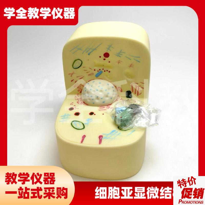 细胞亚显微d结构模型初高中生物实验器材中学教学仪器实验器材