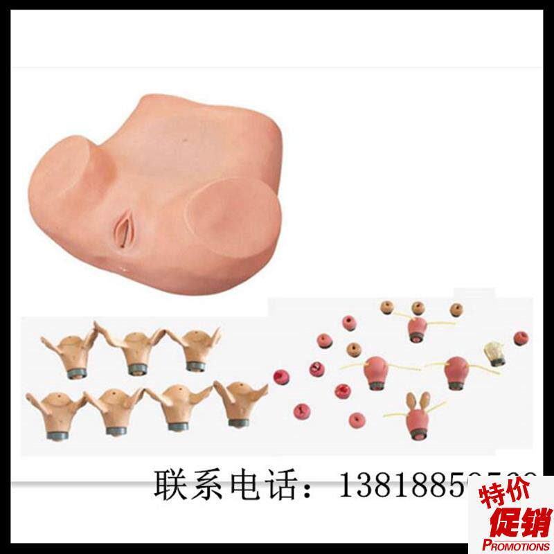 高级妇科综d合检查训练模型宫腔结构镜检查宫颈特价