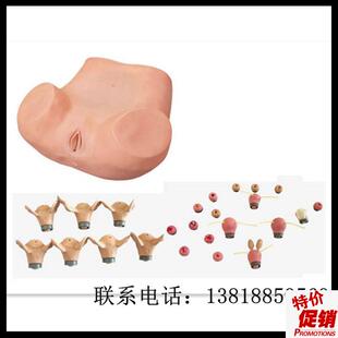 高级妇科综d合检查训练模型宫腔结构镜检查宫颈特价