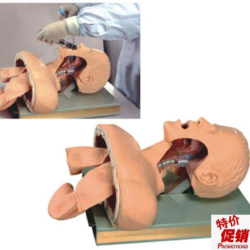 成人气管插管训练模型气道管理模型带K解剖成人气管插管模型人