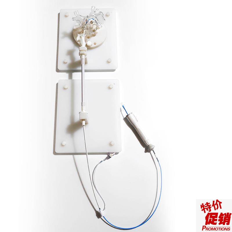 ENOVO颐诺心脏介入s练习模型左心房介入训练台心血管微创介入训