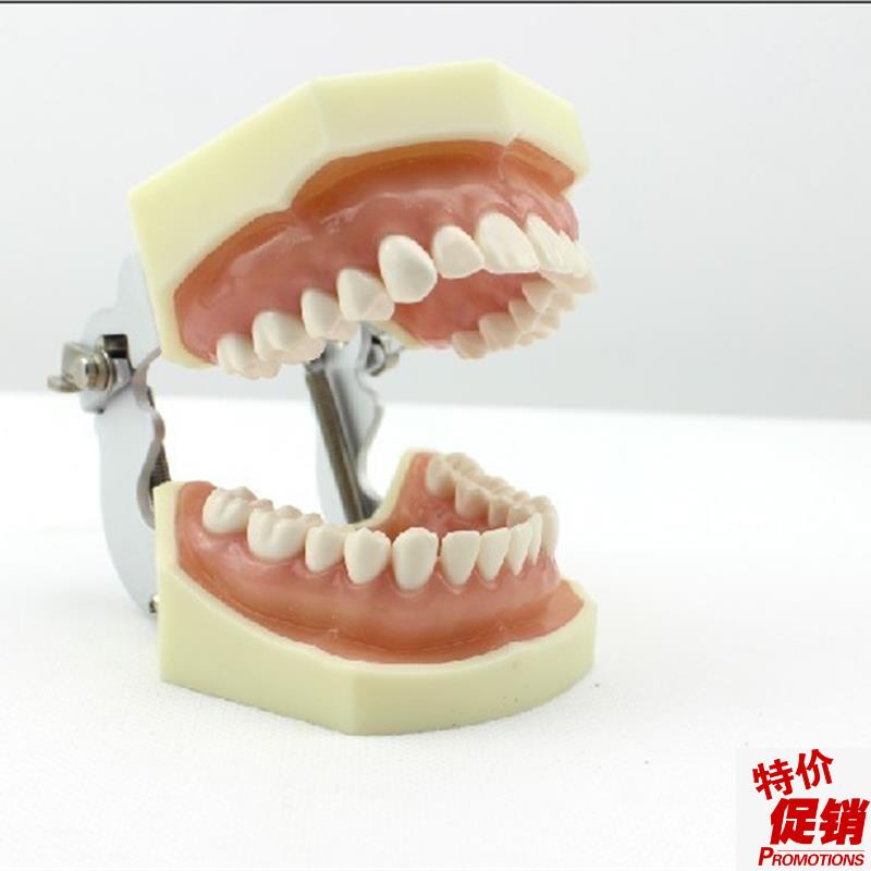 颐诺正品口腔修复模型齿科备牙体C窝洞制备排龈仿真离体牙执业考