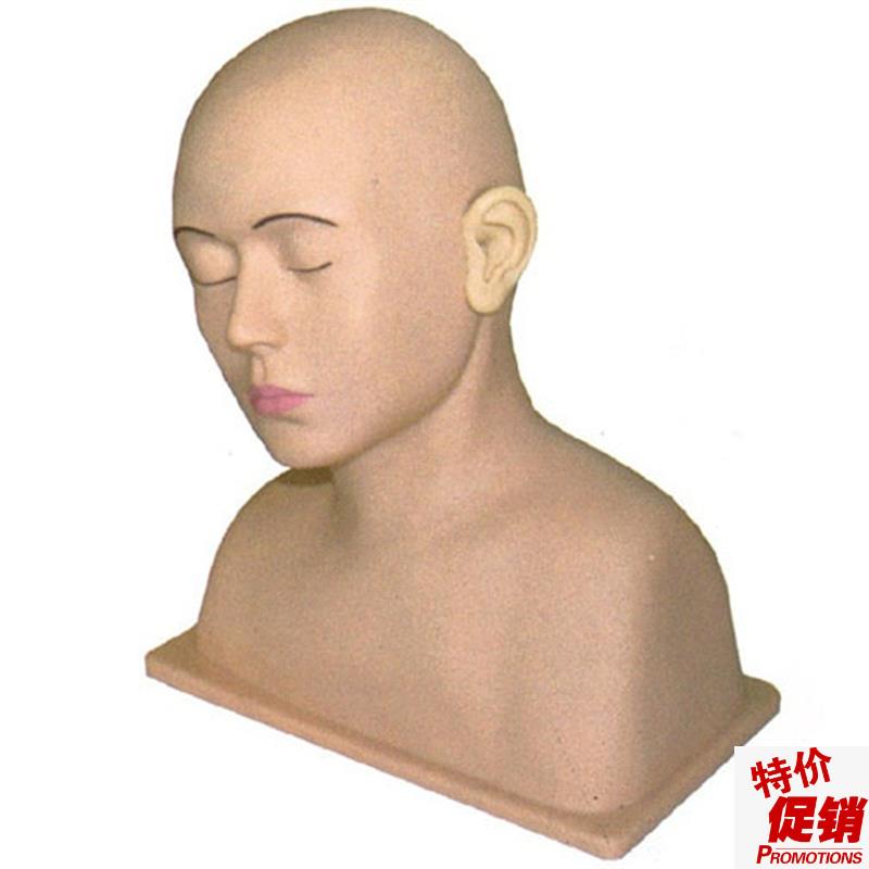 高级耳部冲洗模型