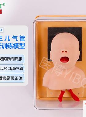 医博BIXc-J3A儿童气管插管训练模型婴儿儿童成人气管插管模型教学