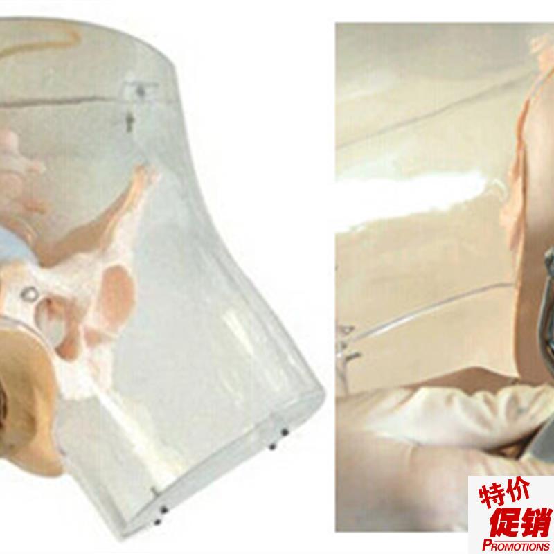 高级透明刮宫模型透明刮宫教学模型女性计.划生育模型