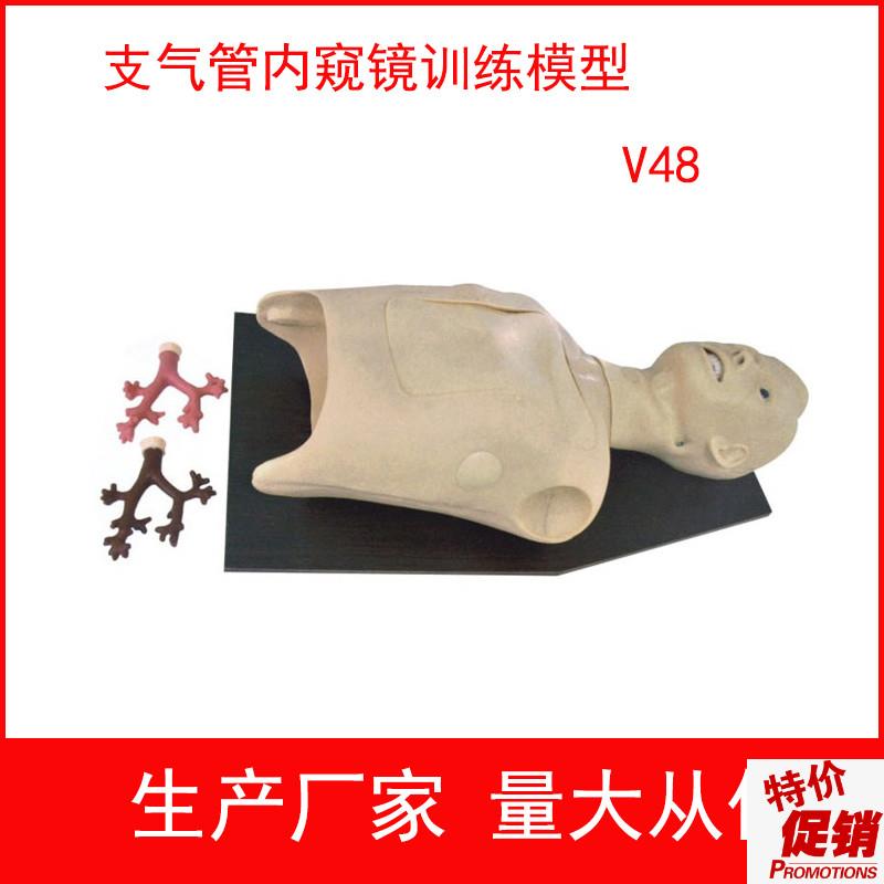 支气管内窥镜检查模型支气管镜训练模型内窥Z镜训练模型