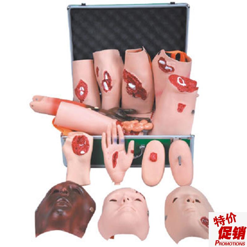 高级创伤护理u训练评估模块模型